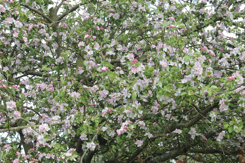 Austons Down Farm B&B Claverdon Εξωτερικό φωτογραφία
